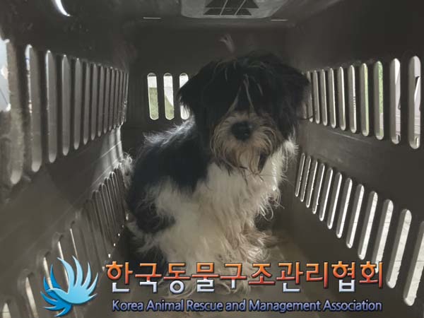 한국동물구조관리협회_441560202401010